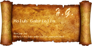 Holub Gabriella névjegykártya